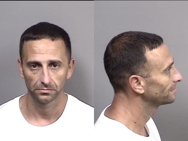 Michael Anthony Hogan